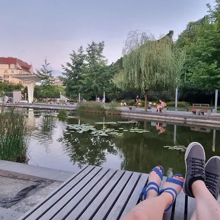 Sunlit Hideaway Lejlighed